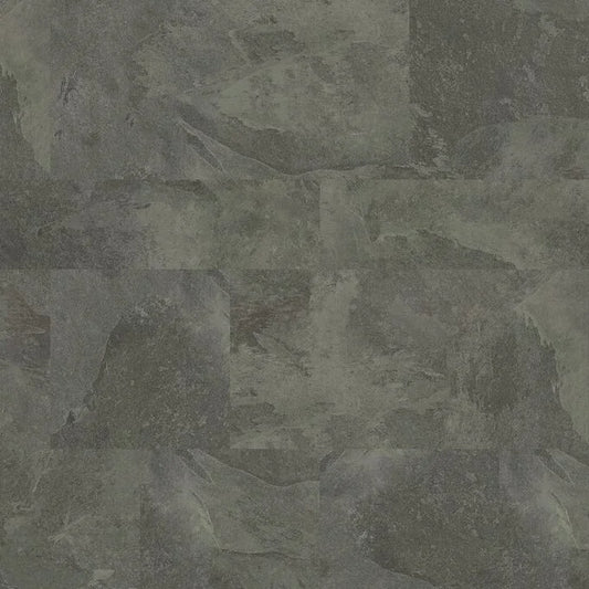 Baldosa Polyflor Expona 2,5 mm. Amazonia Slate P-5059  ( Precio por m2 ) Nuevo Producto